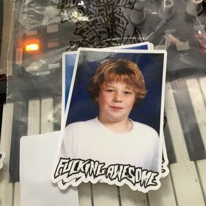 FA F*cking Awesome Skateboards Jake Anderson Yearbook Photo STICKER Dill AVE